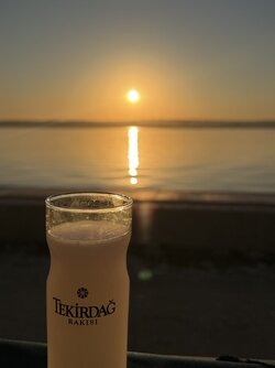 IMG_2495.jpeg