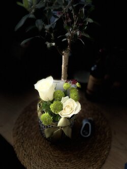 IMG_2549.jpeg