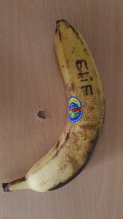 muz elif.jpg muz elif.jpg