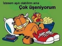 garfield-ask.jpeg.jpg garfield-ask.jpeg.jpg