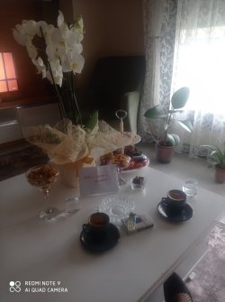 IMG_20221121_161014.jpg
