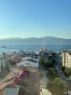 IMG_3377.jpeg