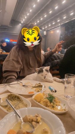 3E52A4D2-E4C2-463E-A9ED-EE19A807C6A1.jpeg