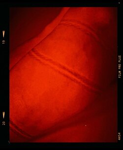 IMG-20250906-WA0004(1).jpg IMG-20250906-WA0004(1).jpg