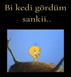 IMG_3601.jpeg