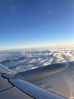IMG_3996.jpeg
