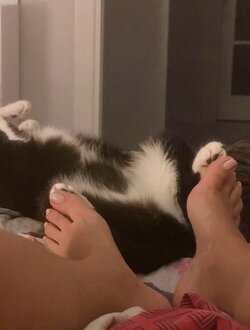 foot,feet (15).jpeg