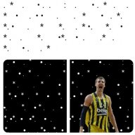 sinanerdemfb123